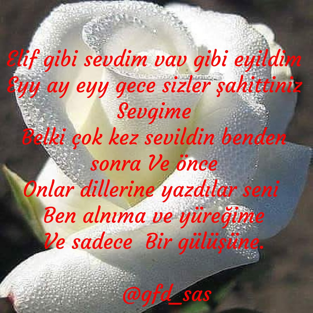 Çisenti (@isenti4) on Twitter photo 