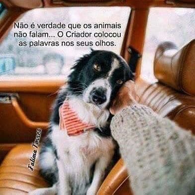 Regiane Farter (@regianefarter) on Twitter photo 