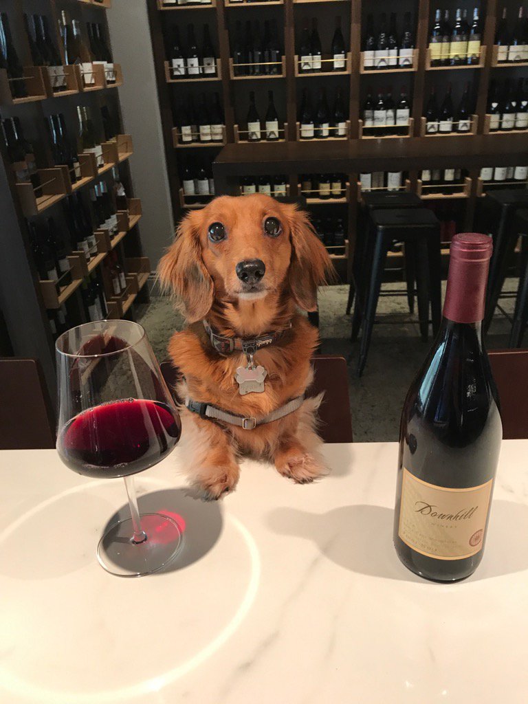 ResoluteSF's tweet image. All the #prettyladies love well aged #pinotnoir. Join us! #SFO #happyhoursf