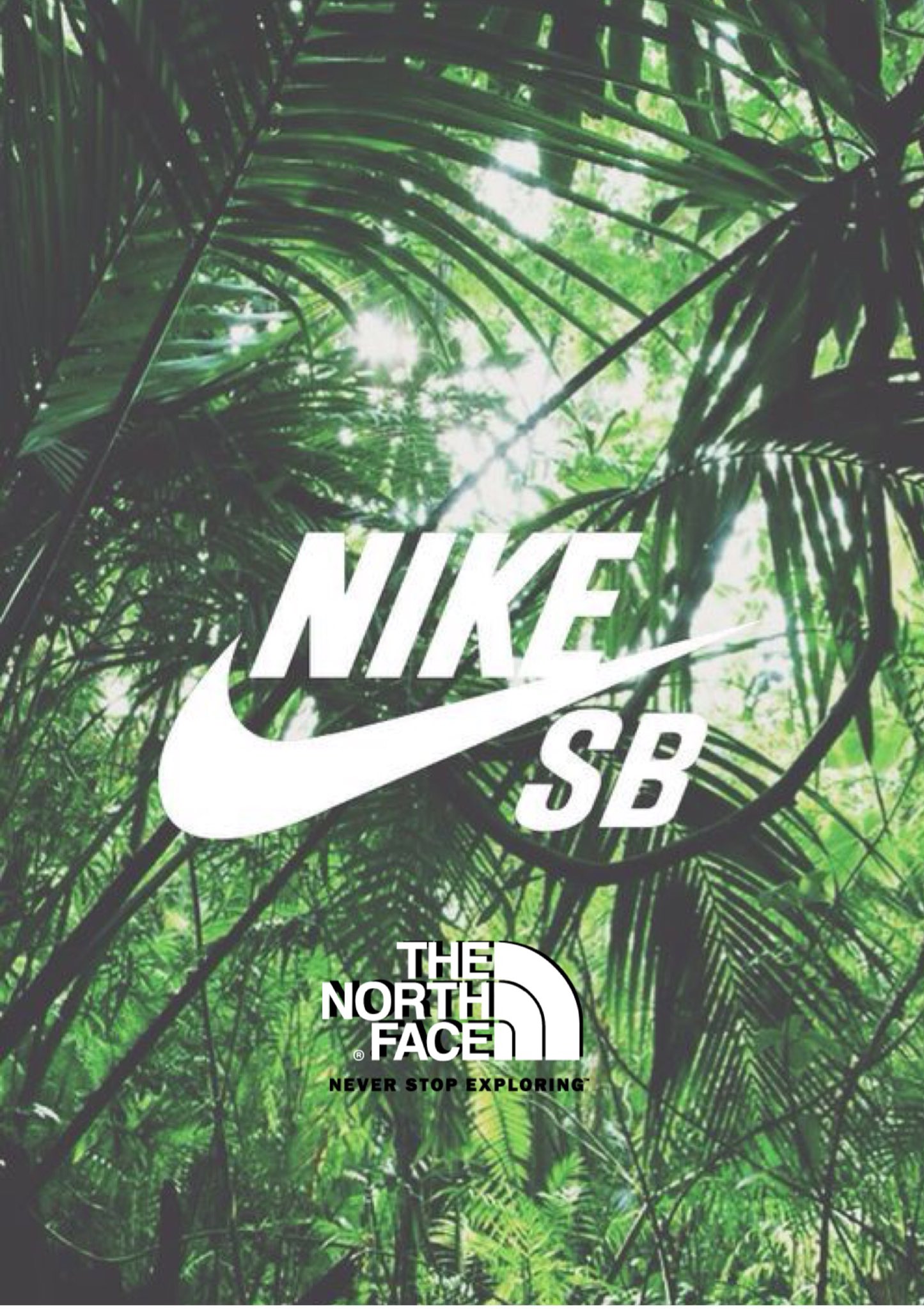 Nike the shop north face