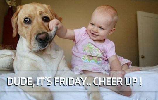 TotalOfficePlus's tweet photo. #OfficeFunFriday The weekend is here! https://t.co/WGvtj9XenD