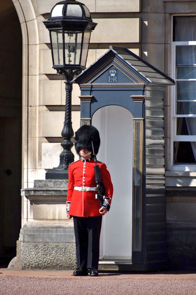 tvanvelden's tweet photo. Buckingham Palace, Luke checking if the Queen is in....... https://t.co/wXiAi3mOf8