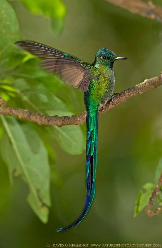 cipherfacts's tweet image. Flutter those beautiful wings 
against the gentle breeze
In the calm of day 
You are the rainbow 
after a rain storm 
You are the expression