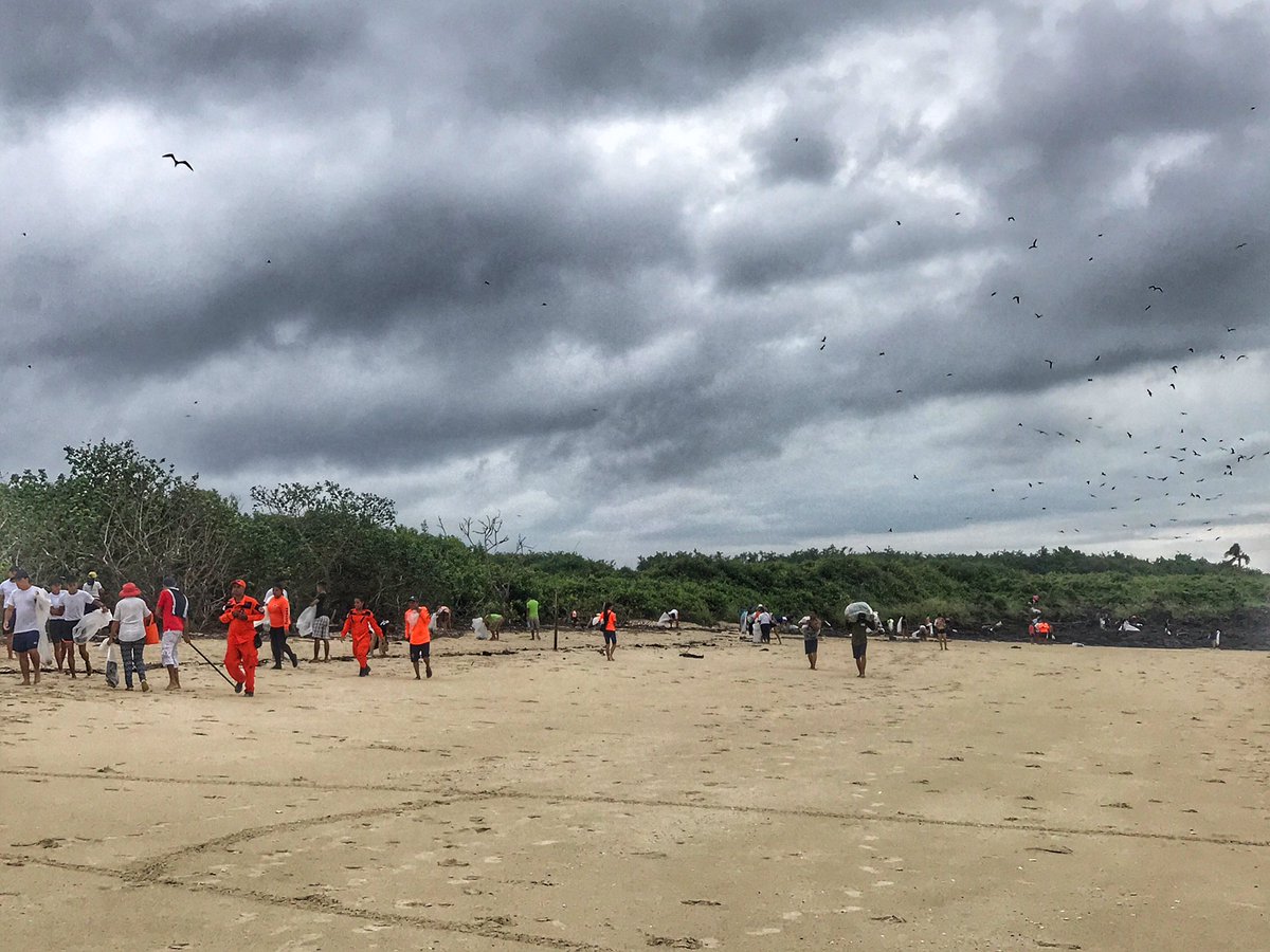 Miguel F Batista. tweet media