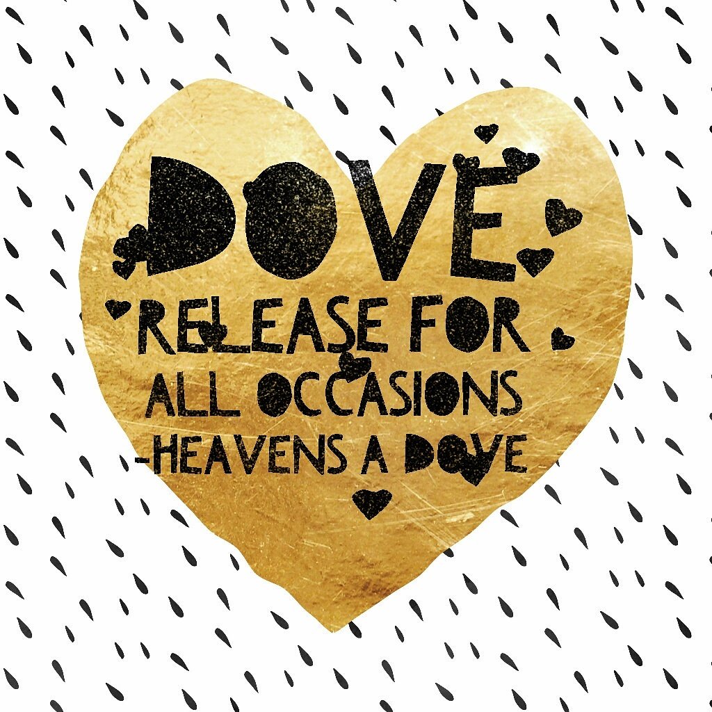 heavensadove's tweet photo. Have a fantastic weekend everyone! #FridayFeeling #weddingweekend @longridgegall @RibbleValleyRox @LLPrints @cr_longridge @SocialEnergyPSN https://t.co/VNtJhG9p9c