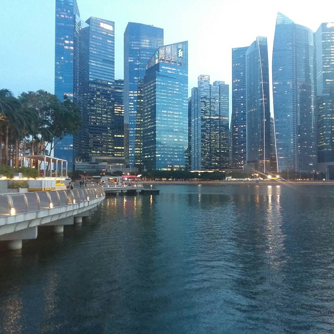rosenthalshons's tweet photo. πππ #GoAsean #Singapore #backpackingasia #marinabaysands #gardensbythebay #blackbackpacker https://t.co/VdxZze2zNF