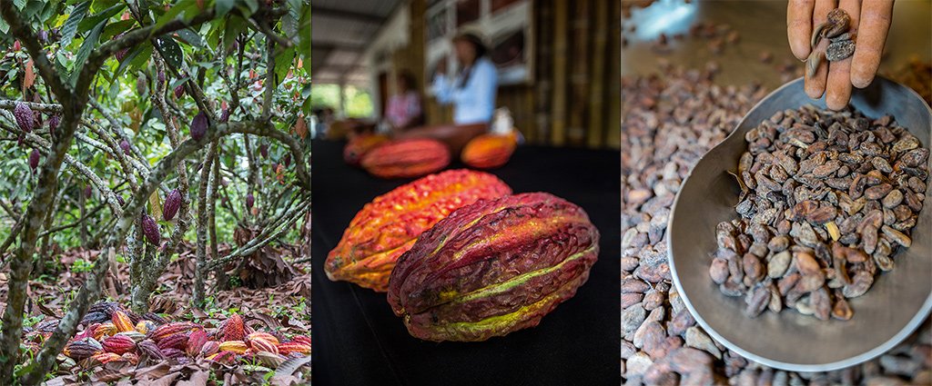 EcuatravelGuide tweet media