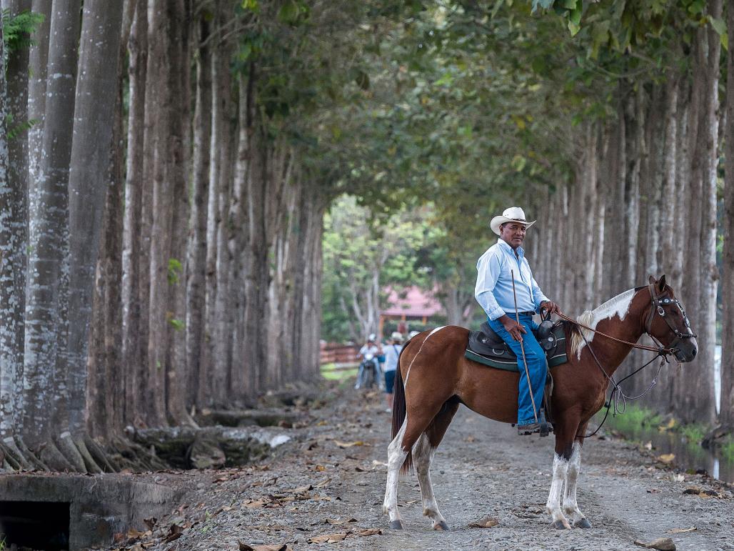 Is #Ecuador making the best #chocolate bars in the world? Come to #Guayaquil &amp; #Quito &amp; find out! 1843magazine.com/food-drink/the… #WorldChocolateDay