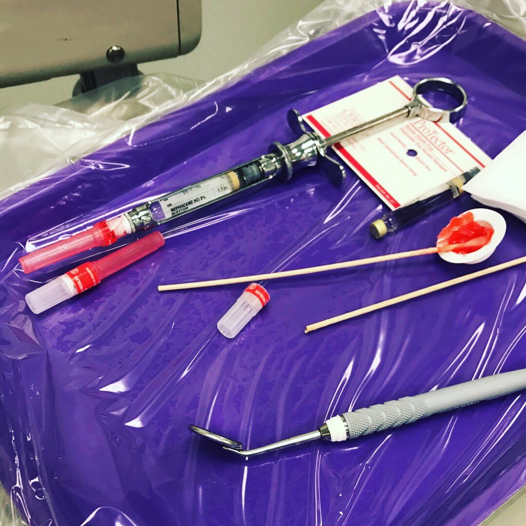 AQuigs5's tweet photo. Just gave our first injections! 💉 #stablab #dentalhygieneschool #bestfriendgoals https://t.co/CicMXIxD3z