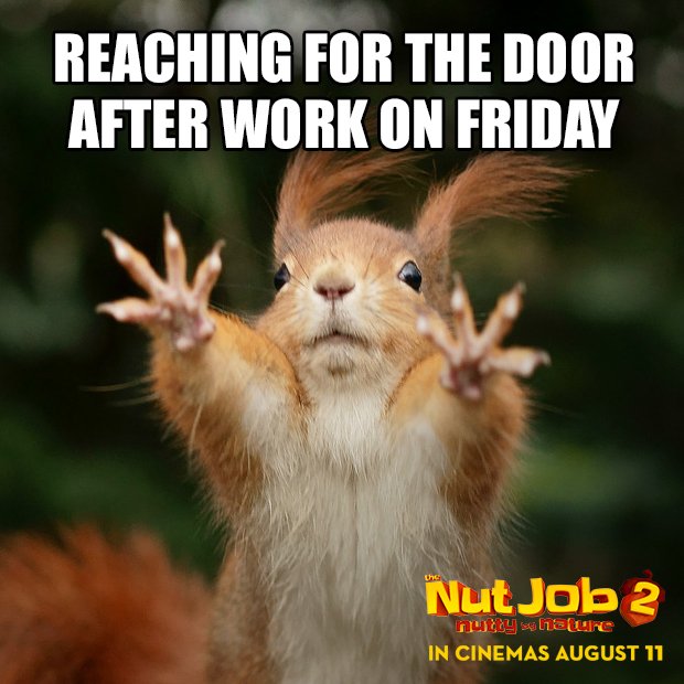 WarnerBrosUK's tweet photo. So close yet so far... #FridayFeeling #TheNutJob2 https://t.co/FU3aJzus3y
