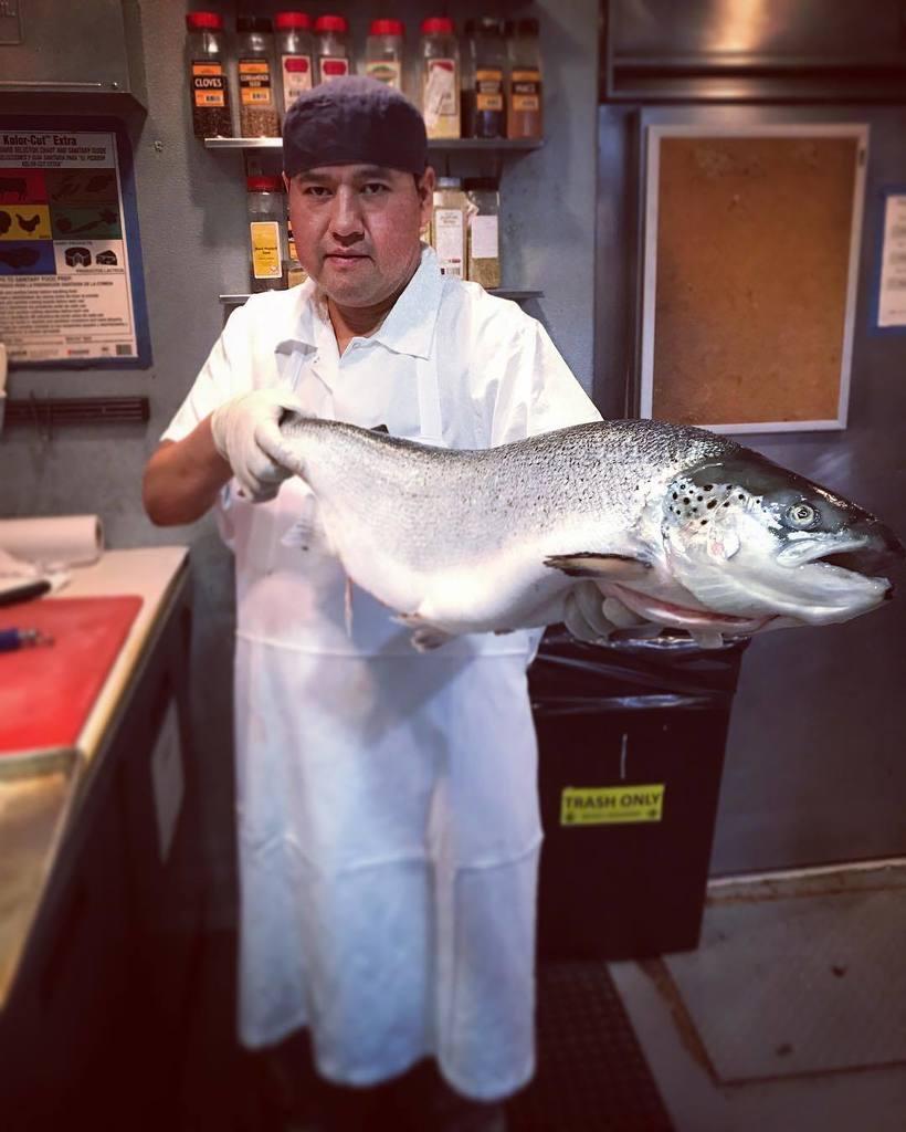 Catch of the day! 🐟 ift.tt/2tQZprv