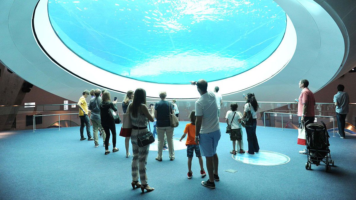 FastCoDesign's tweet photo. Miami’s new science museum teaches with architecture https://t.co/LXAZzebFOJ https://t.co/VOyu9Q49S4