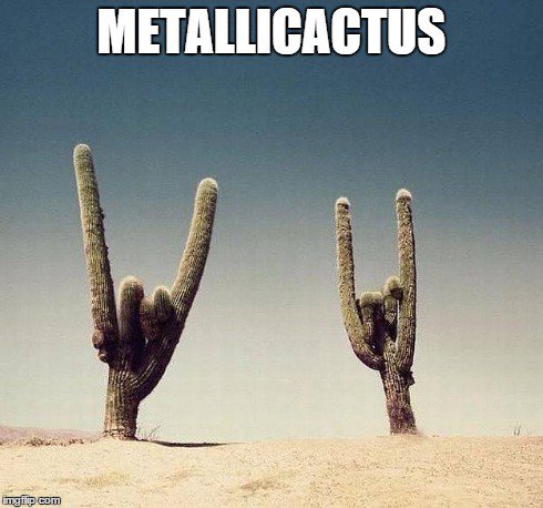myRedCap's tweet image. Ready to throw your devil horns up with Metallica? Get tickets to their Florida show with Avenged Sevenfold: vividseats.com/concerts/metal…