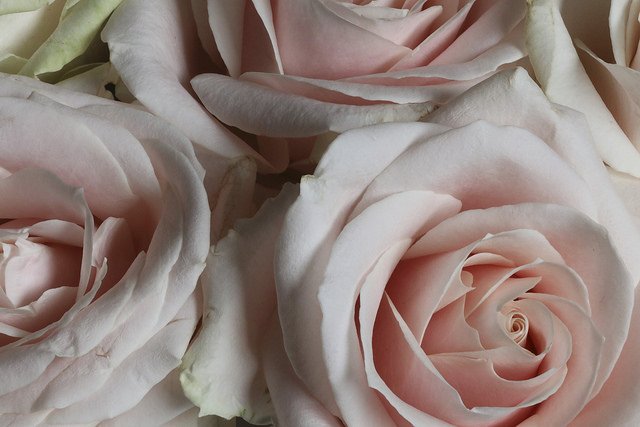 Pure perfection 💕