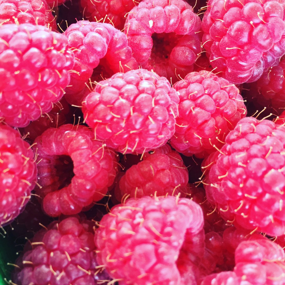 LPdeProvence's tweet photo. Alors mesdames !! Une petite envie de framboise ?? 😋😋😋
Livraison gratuite à votre domicile en commandant ici: https://t.co/MFpa7pC0yw https://t.co/QyYY2c4dTe
