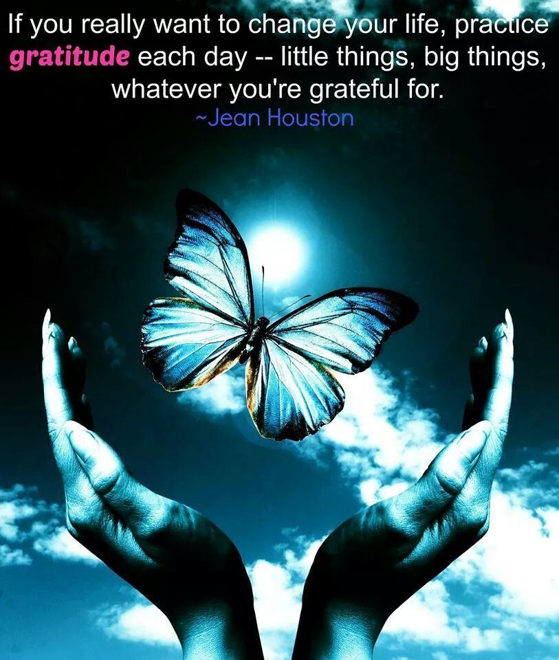 sallyfacinelli's tweet photo. If you want to change your life, practice GRATITUDE daily- little or big things, whatever you're grateful for. #Gratitude #Walkthetalk #Live https://t.co/XX8Ph4vgXN