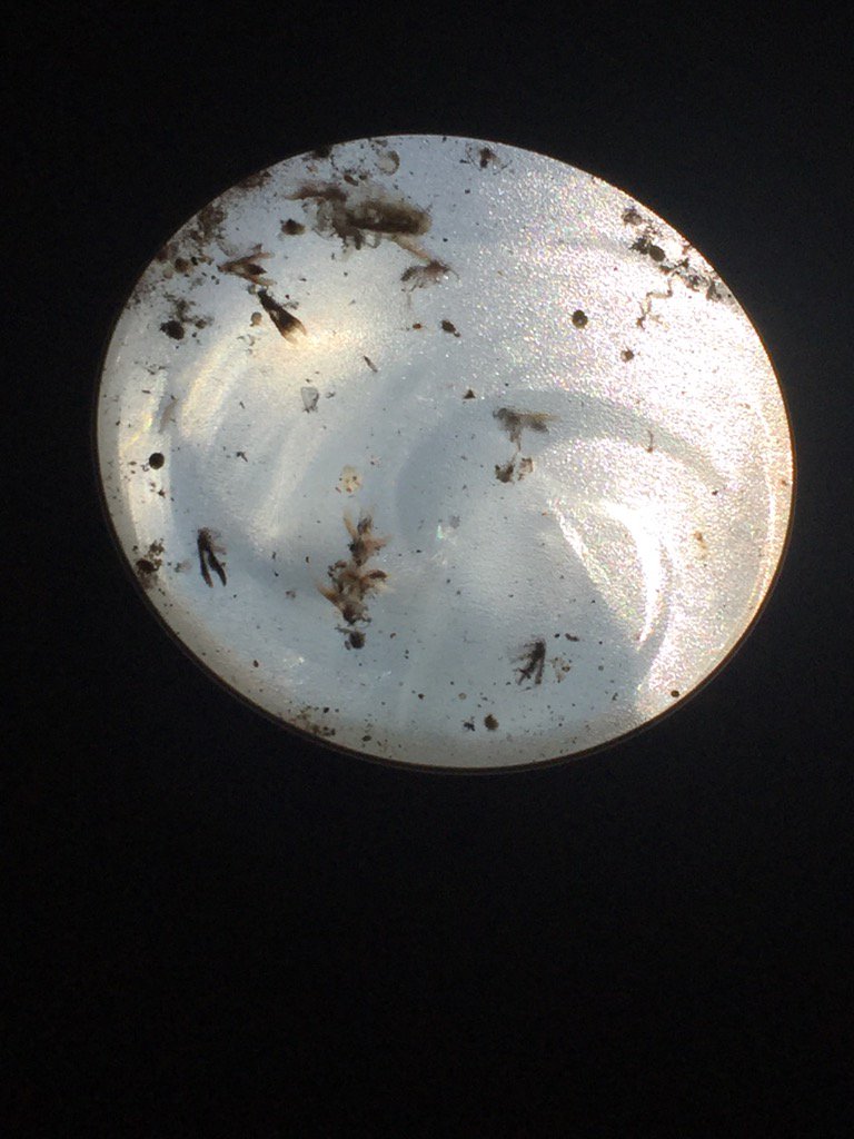 realtorleena's tweet photo. Time to clean the #solartube! How not to impress buyers 🤢 https://t.co/VUniTqWYut