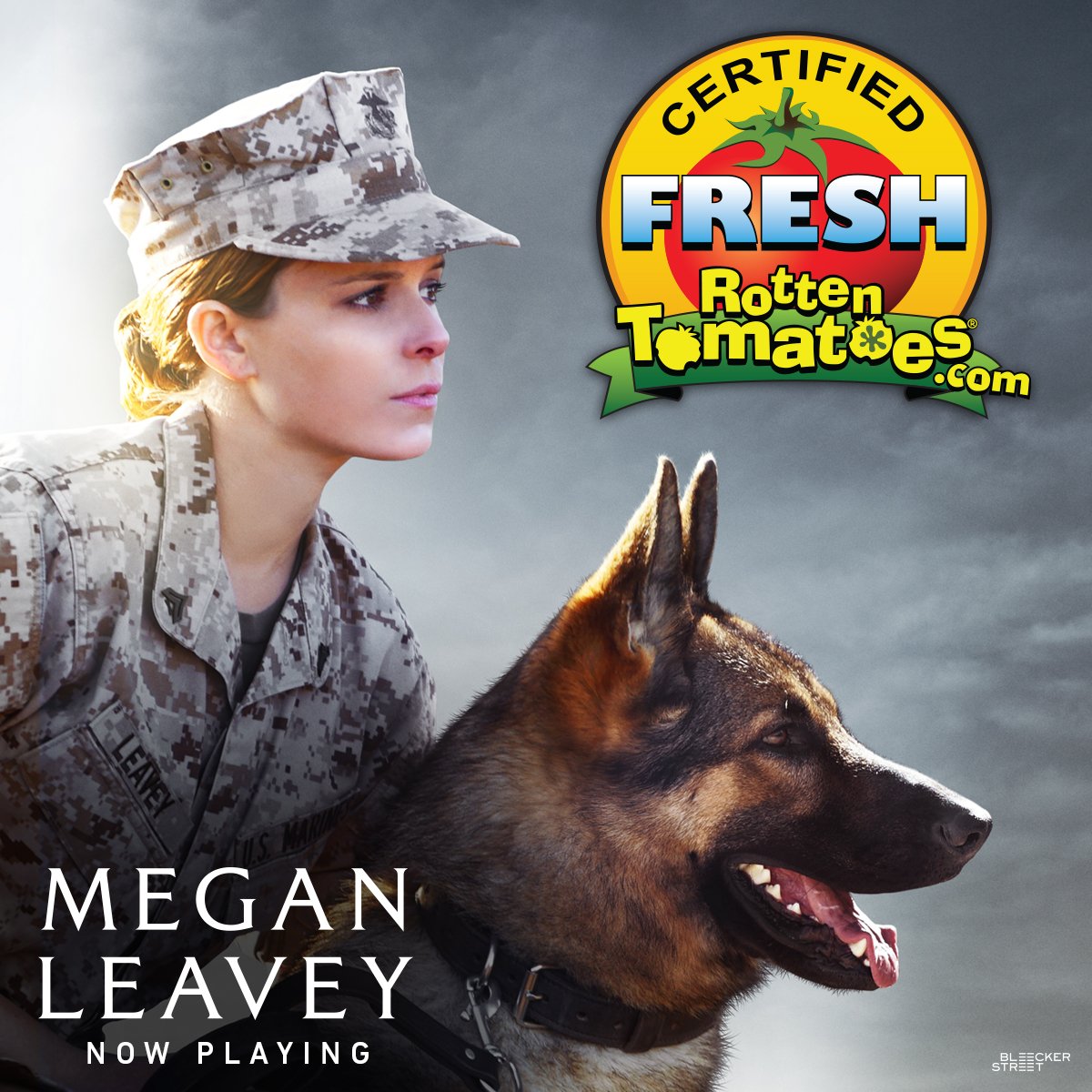 Megan Leavey Movie (@MeganLeavey) / X