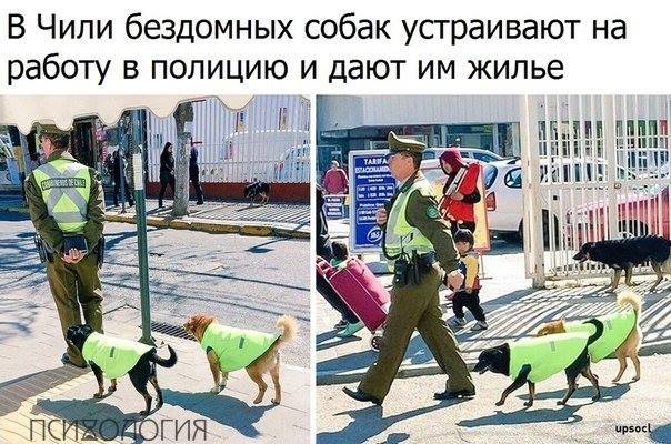 Наталия Суюменко (@eravodoleyaug) on Twitter photo 