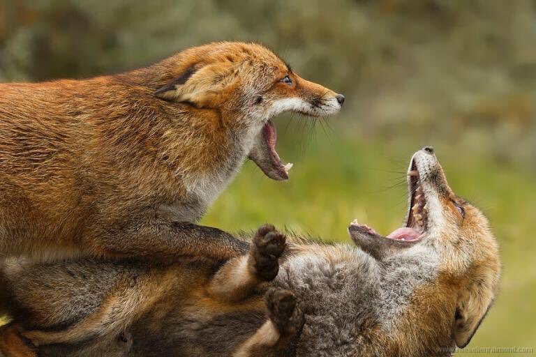 Neutre_On's tweet photo. -Et là j'lui ai dit, "si votre ramage se rapporte à votre plumage"...
-Et il a lâché le camembert ?
-Ouais 😂
-Oh putain le boulet 😂 https://t.co/aK9USktSp1