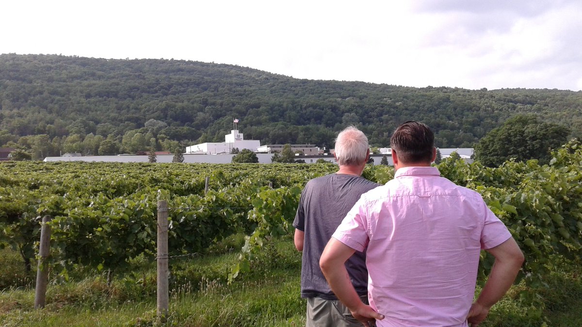 OdessaCoffee's tweet photo. @Hazlitt1852 @RedCatWine We are lucky to visit the old WIDMER Winery in Naples, NY &amp; visit with millions of gallons of wine &amp; spirits. https://t.co/aWjBChoaXQ