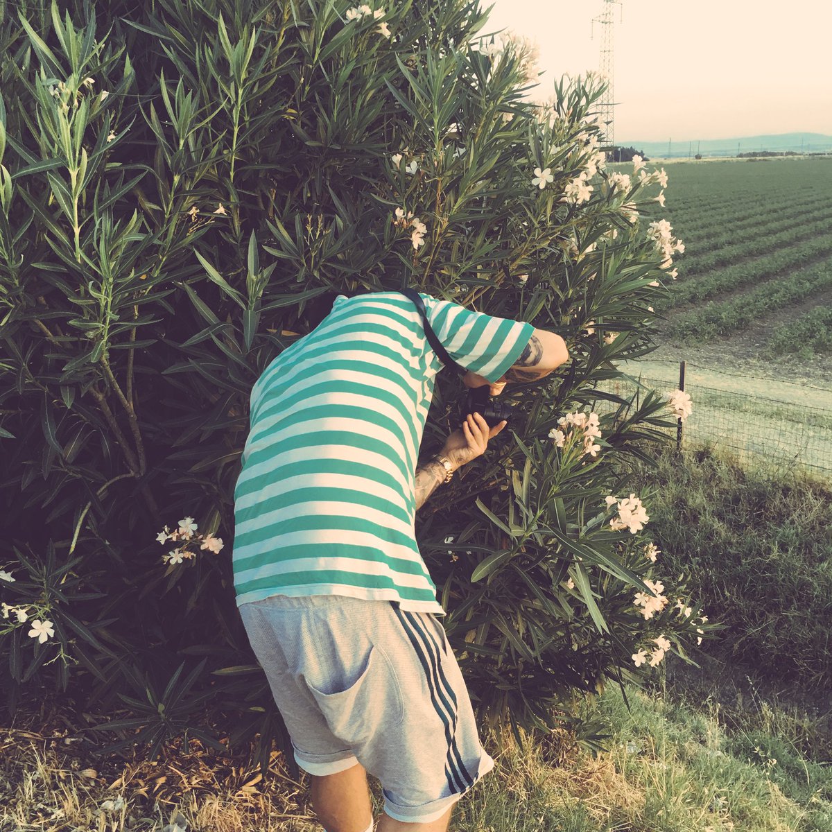 ecco un esemplare di mascolo che fotografa fiori in autostrada