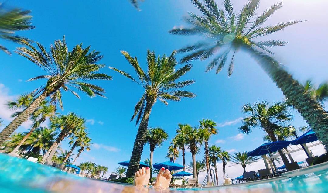 HammockResort's tweet photo. Do Not Disturb. #Weekend #LifeAtHammockBeach https://t.co/RpZaEgNhi7