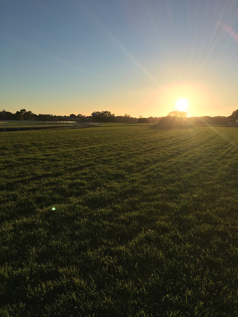 Naysh07's tweet image. BELMONT PARK 
Fine
GOOD 4
Peno 6.4
Rails 7m
Great day of racing ahead.
@Jay_Rooney @PerthRacing @OfficialRWWA
