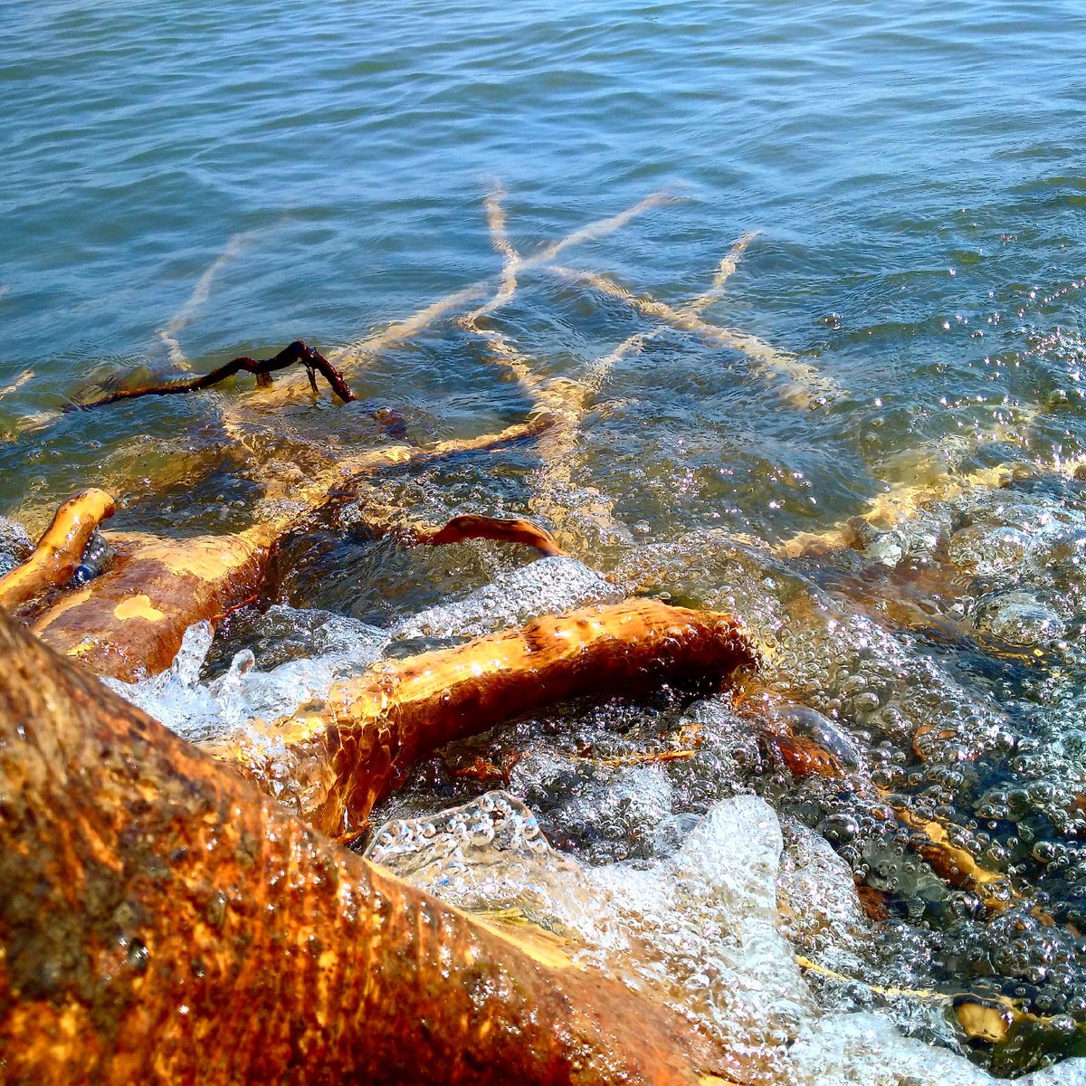 EmsCanadian's tweet photo. @PresquilePP @EventsBrighton @OntarioParks Great start to my weekend! Can't wait for the BBQ tomorrow 11-1:30 https://t.co/HOfi3JjKSf