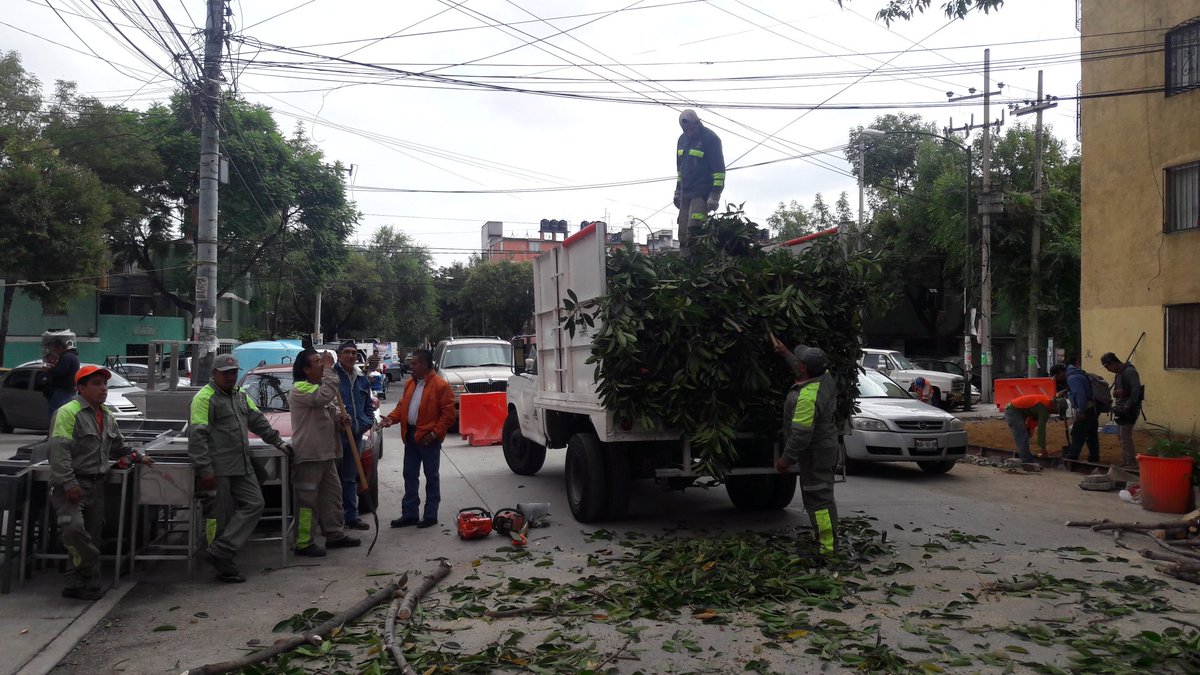 gilencinas's tweet photo. #CuauhtémocEnTuColonia realiza poda en Doctores. @RicardoMonrealA recupera la dignidad de vivir en #ElCorazónDeMéxico https://t.co/XTulgRp9Mf