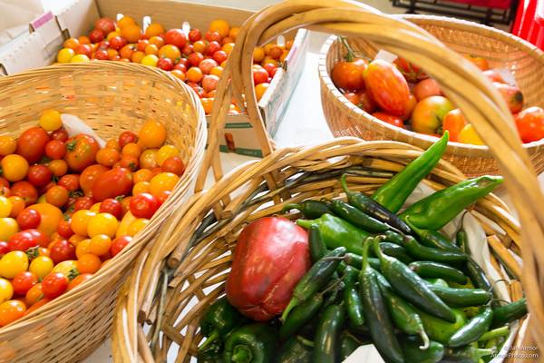Our Healthy Harvest program starts tomorrow Sat. July 8! Fresh fruits &amp; veggies for our food pantry visitors! Yay! bit.ly/1Q6OPMb
