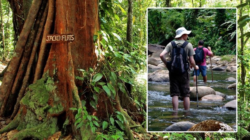 Remember runaways slaves on Maroon Day by hiking the historic Jacko Flats &amp; Steps trail facebook.com/HikeIntoDomini… #Dominica