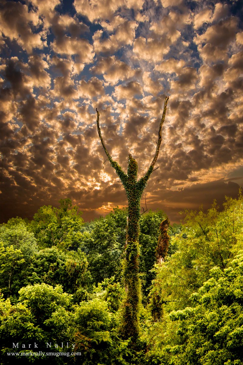 Take me home. #KY #Kentucky