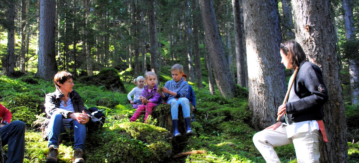 Wellnesswandern's tweet photo. #geführte #Wanderungen mit Kindern. Erlebnisreich, spannend mit fMärchenerzählerin durch den Wald zur Almhütte. https://t.co/VVYfOpfYUg https://t.co/E2TzCypFYC