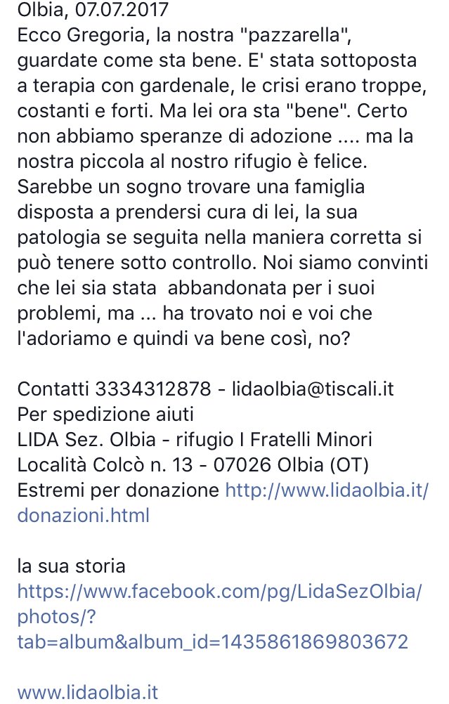 LidaSezOlbia's tweet photo. #Gregoria la #pazzerella ❤️
Sarebbe un #sogno trovare una #famiglia disposta a prendersi cura di lei.. ❤️
Per #info https://t.co/VWPogVxqn1 https://t.co/lyiDpJX4U6
