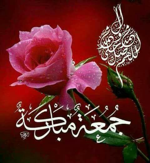 Shaikh Shakeel (@shaheen977) on Twitter photo 