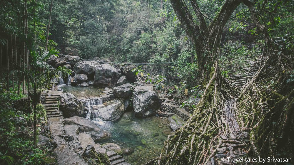 Beating Calmness, Tiny Steps, Laughing River, Dancing Leaves, Deep Forest, Cherapunjee. #travel #himalayas #nature
traveltalesbysrivatsan.com