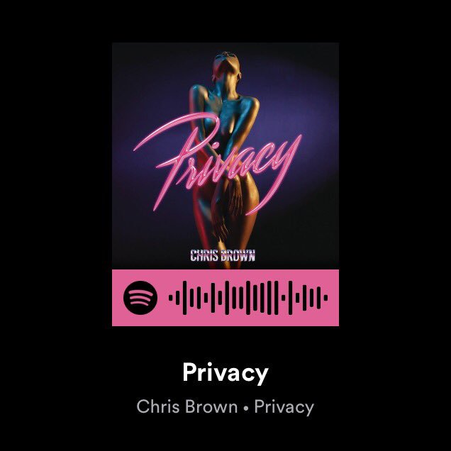 chrisbrown's tweet photo. Stream Privacy on @Spotify now! https://t.co/hHTllUAMeU https://t.co/pL89lcBm4v