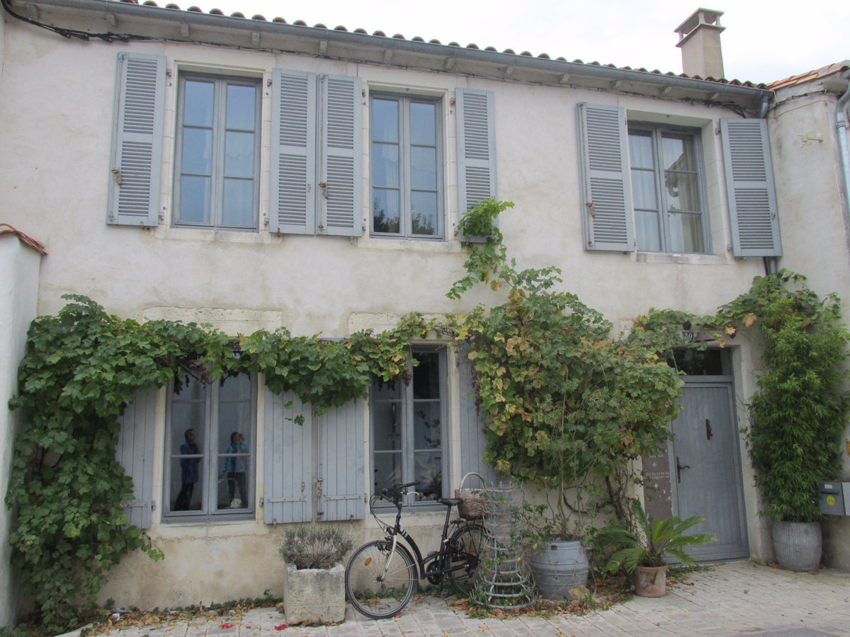 All things nice... tweet media