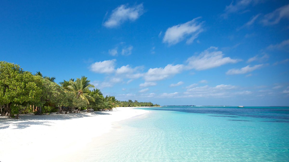 MyLuxTravel's tweet photo. Want to make your co-workers insanely jealous? Just casually drop "I'm holiday making in the Maldives this year" into the conversation.❤️🌞 https://t.co/yuCwVzHdY8