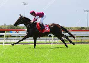 AdamBarling2's tweet photo. Cartagena heads to the Gold Coast today first up good luck to all involved. #firstup #improvingallthetime #signsofthingstocome https://t.co/KSeWBXgX4u