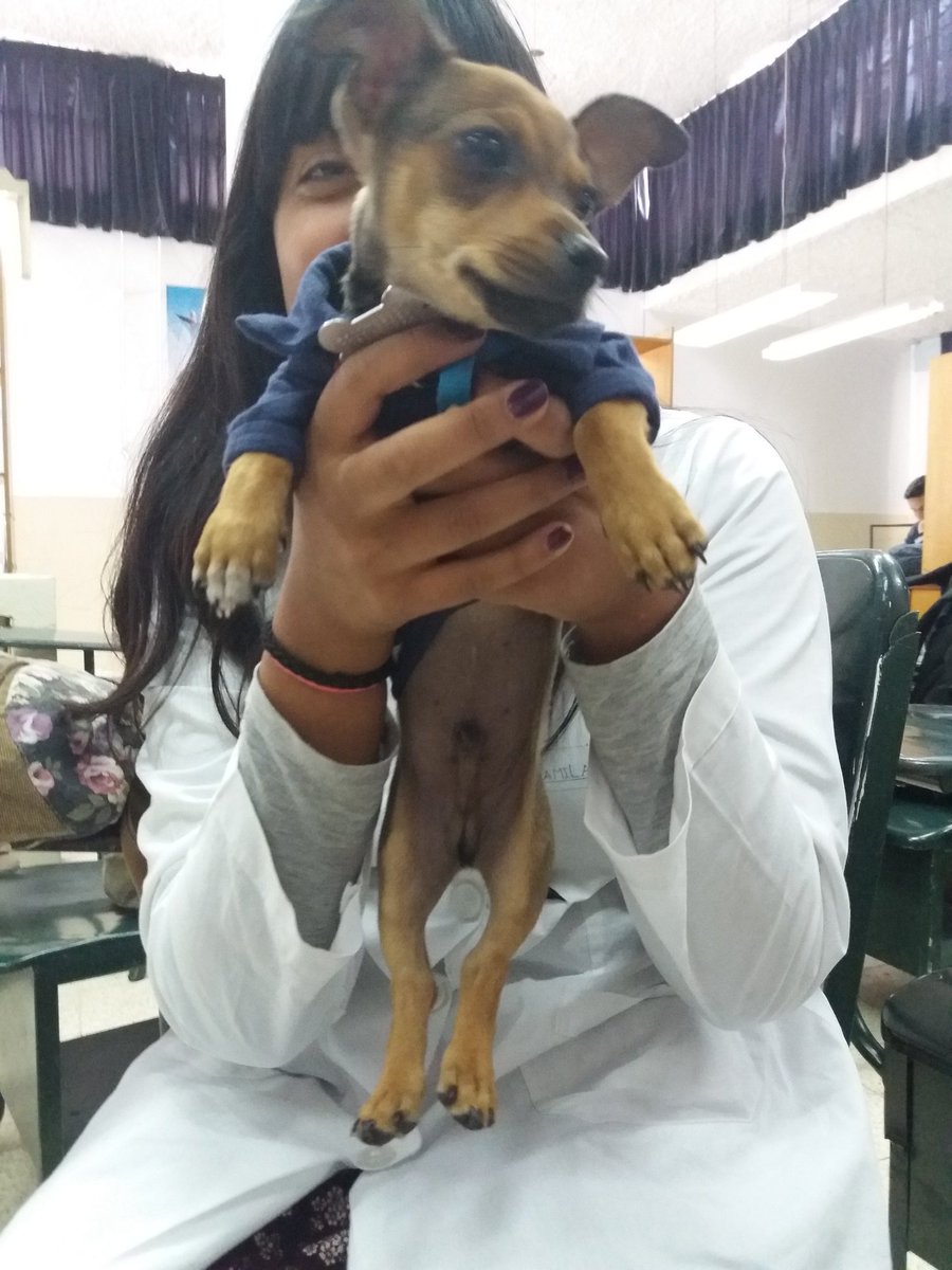 kamilatornasol's tweet photo. Mi galerรญa es lo mรกs bonito que hay en la vida๐
#VetGoals https://t.co/mEXCgaXCX6