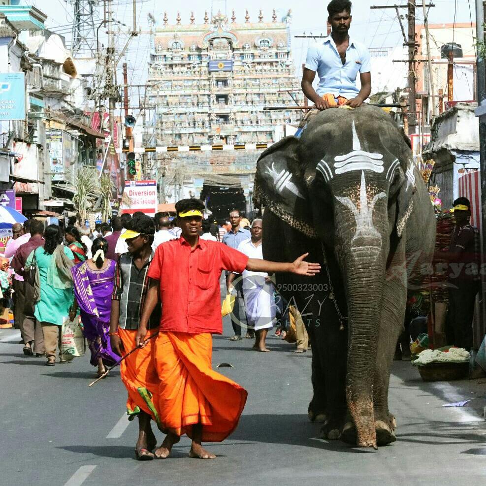aaryaatv1's tweet photo. அருள்மிகு #நெல்லையப்பர் #திருக்கோவில் #ஆனித்தேரோட்டம்-2017-#crazyshots9500323003 #aaryaatvsnkl #Wedding #photography #candidphotography https://t.co/jFckSGNTZm