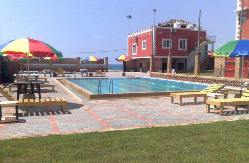 download Literaturreport