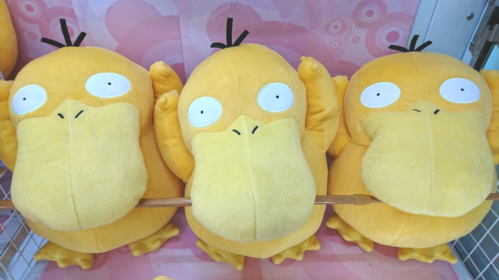 遊遊パーク朝日ヶ丘店 景品情報 ポケットモンスター サン ムーン めちゃでかコダックぬいぐるみを投入しました Ufoキャッチャー クレーンゲーム プライズ コダック ポケモン