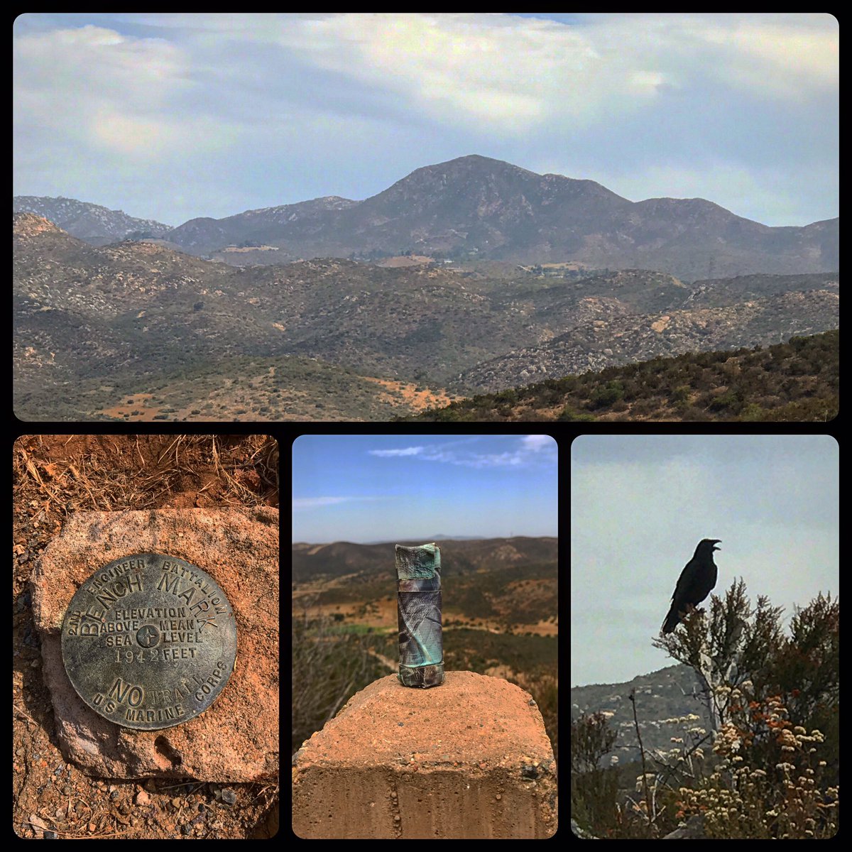 Roaming Relic tweet media