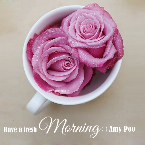 Ankur_Niranjan's tweet photo. Welcome a new day with a smile on your lips, love in your heart and gratitude in your spirit. Good Morning @ameesha_patel Mam ( #AmyPoo ) https://t.co/HQSzkU50K6
