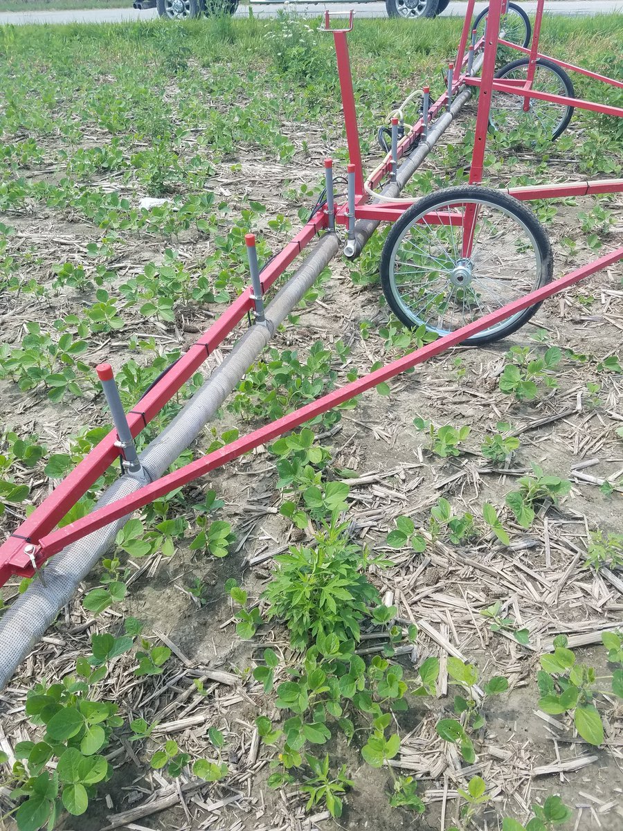 TheHippieFarmer's tweet photo. What happens when you have resistant weeds popping up... #weedwiper https://t.co/t7VWVmJiKH