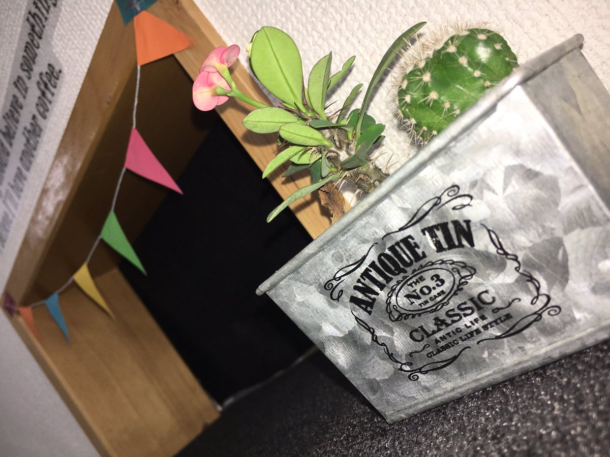 Ten_cafe07's tweet photo. おはようございます🌞

本日も11時からopenしています🙌🏻💫

少しずつ店内も色鮮やかになってきました🏳️‍🌈
皆様のご来店お待ちしております👘💜

#cafe #bar #電源カフェ https://t.co/8sta8XI5bd