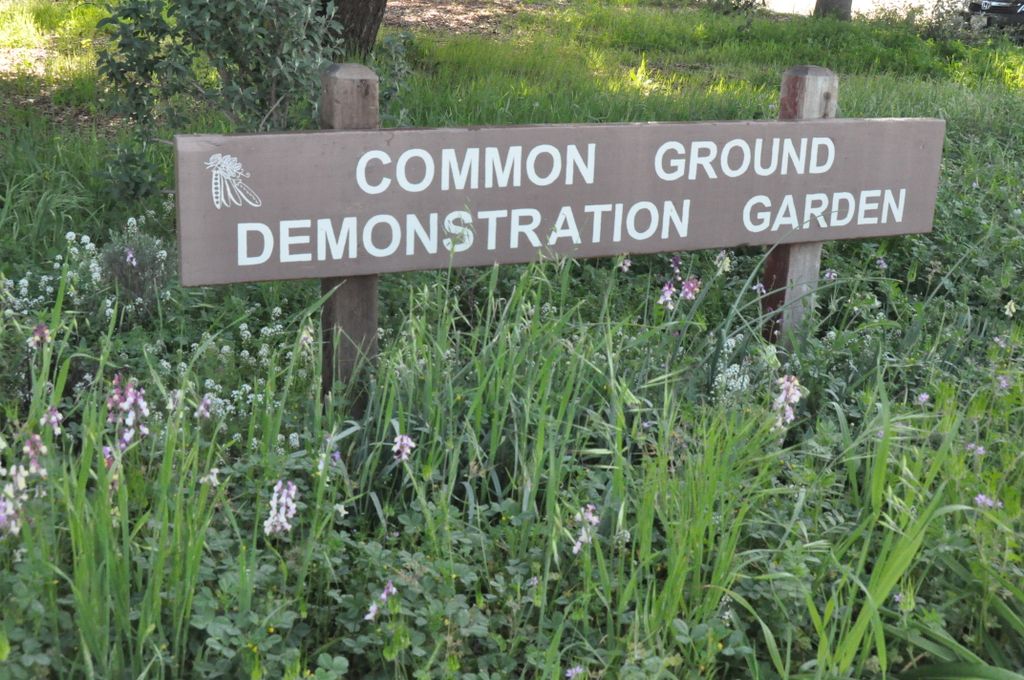 Only one day left! We can't wait to see you all at 10 am tomorrow to pick up your tour maps and check out our snacks, tables, and demos.